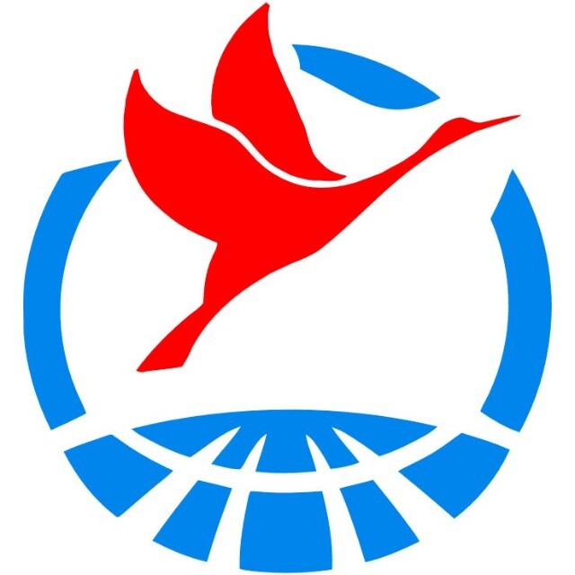 极鹭国际快递